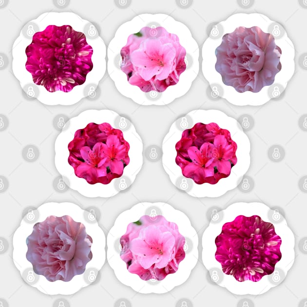 Natural Mixed Pink Flowers Pack Sticker by EdenLiving